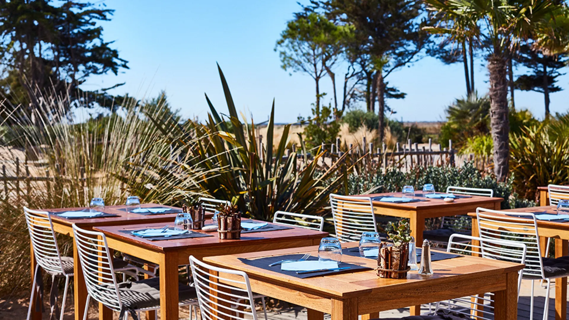 camping le Phare restaurant