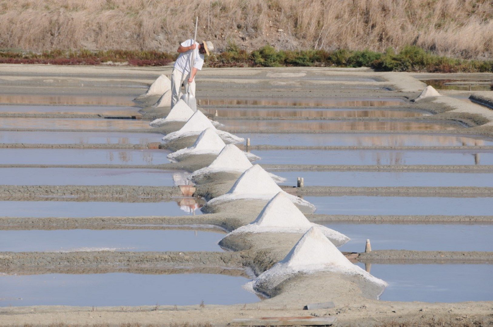 marais salants loix 